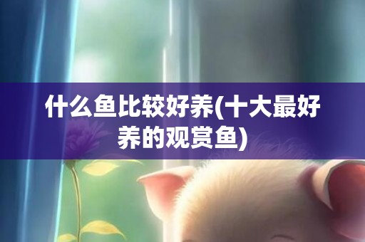 什么鱼比较好养(十大最好养的观赏鱼)