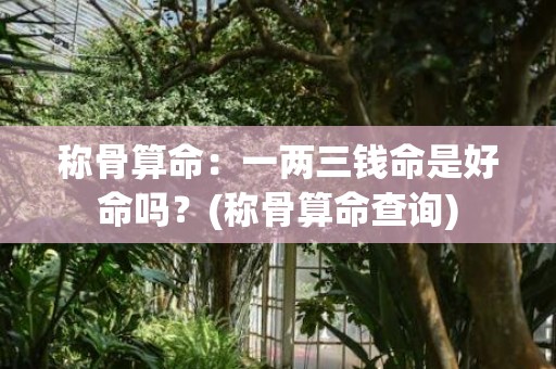 称骨算命：一两三钱命是好命吗？(称骨算命查询)