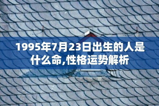 1995年7月23日出生的人是什么命,性格运势解析