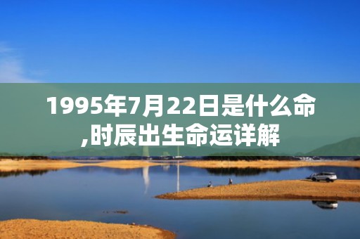 1995年7月22日是什么命,时辰出生命运详解