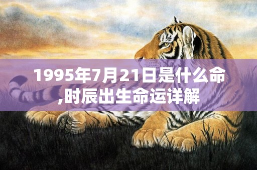 1995年7月21日是什么命,时辰出生命运详解