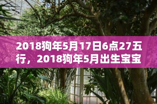 2018狗年5月17日6点27五行，2018狗年5月出生宝宝取名，狗宝宝5月五行起名