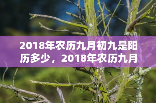 2018年农历九月初九是阳历多少，2018年农历九月初一出生宝宝小名怎么取？小名取名技巧？
