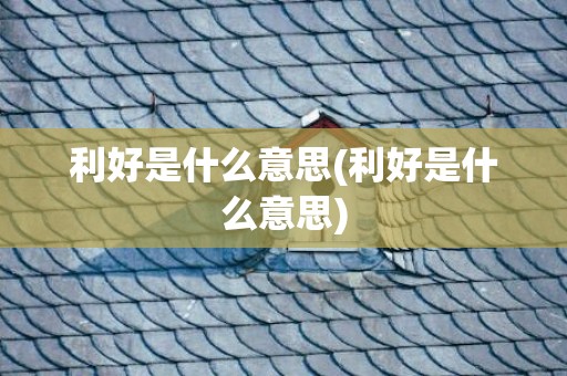 利好是什么意思(利好是什么意思)