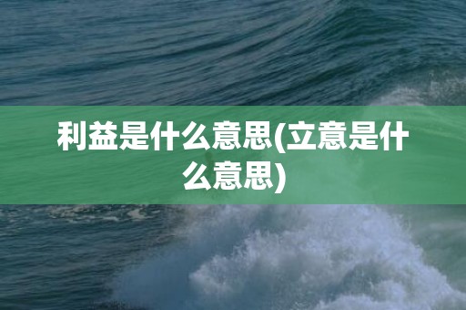 利益是什么意思(立意是什么意思)