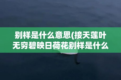 别样是什么意思(接天莲叶无穷碧映日荷花别样是什么意思)