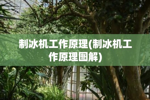 制冰机工作原理(制冰机工作原理图解)