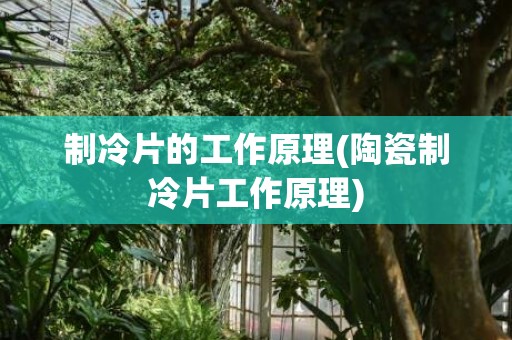 制冷片的工作原理(陶瓷制冷片工作原理)