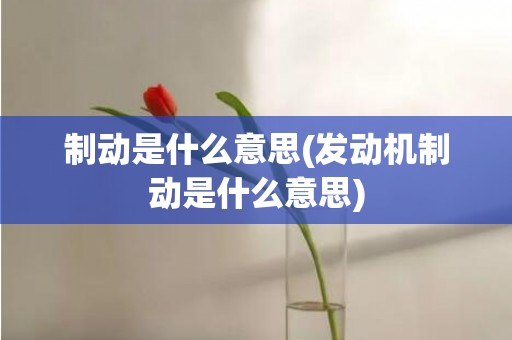 制动是什么意思(发动机制动是什么意思)