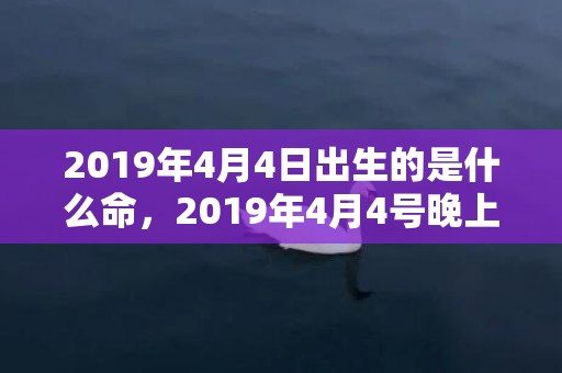 2019年4月4日出生的是什么命，2019年4月4号晚上出生的女孩起什么名字吉祥
