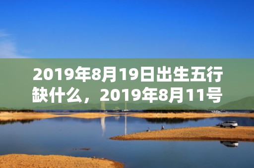 2019年8月19日出生五行缺什么，2019年8月11号出生的双胞胎女孩起什么名字比较好，五行属什么？