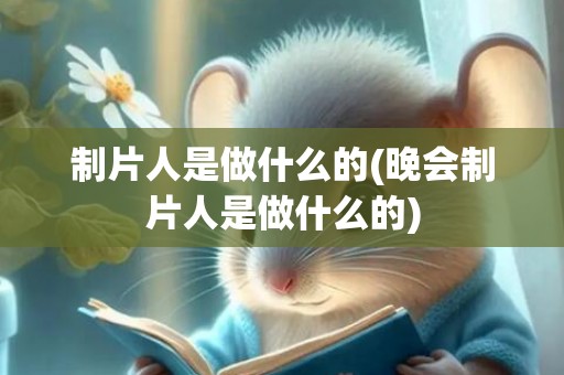 制片人是做什么的(晚会制片人是做什么的)