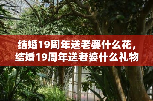 结婚19周年送老婆什么花，结婚19周年送老婆什么礼物