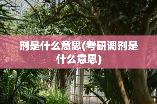剂是什么意思(考研调剂是什么意思)