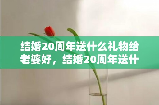 结婚20周年送什么礼物给老婆好，结婚20周年送什么礼物给老婆合适
