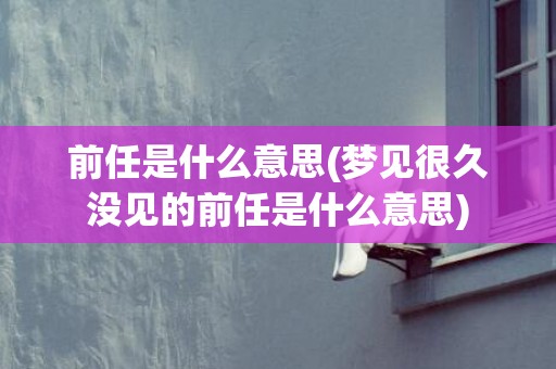 前任是什么意思(梦见很久没见的前任是什么意思)