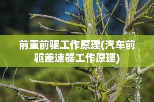 前置前驱工作原理(汽车前驱差速器工作原理)