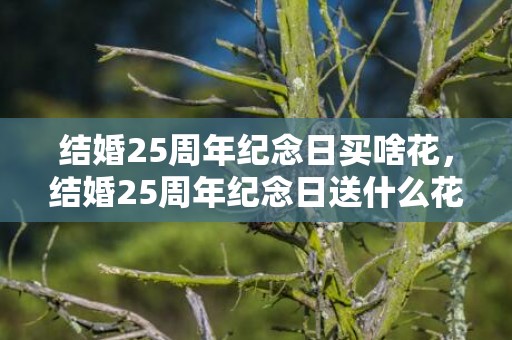结婚25周年纪念日买啥花，结婚25周年纪念日送什么花合适？结婚纪念日送媳妇什么
