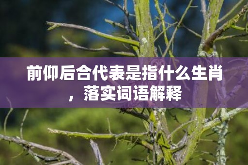 前仰后合代表是指什么生肖，落实词语解释