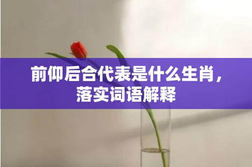 前仰后合代表是什么生肖，落实词语解释