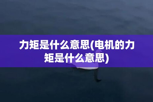 力矩是什么意思(电机的力矩是什么意思)