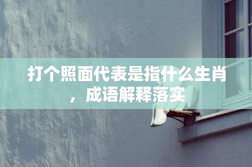 打个照面代表是指什么生肖，成语解释落实
