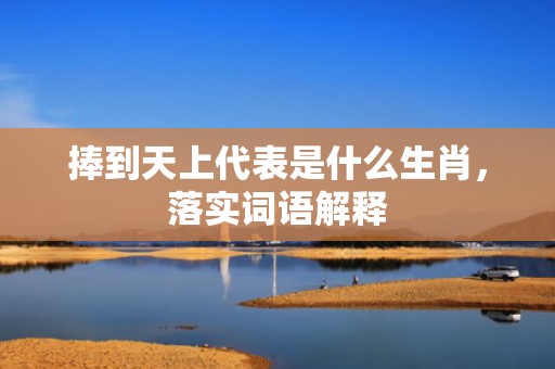 捧到天上代表是什么生肖，落实词语解释