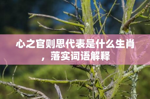 心之官则思代表是什么生肖，落实词语解释