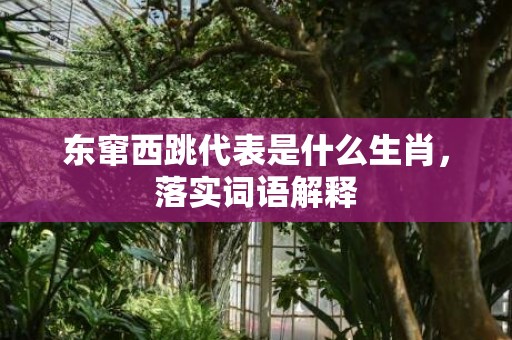 东窜西跳代表是什么生肖，落实词语解释