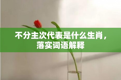 不分主次代表是什么生肖，落实词语解释