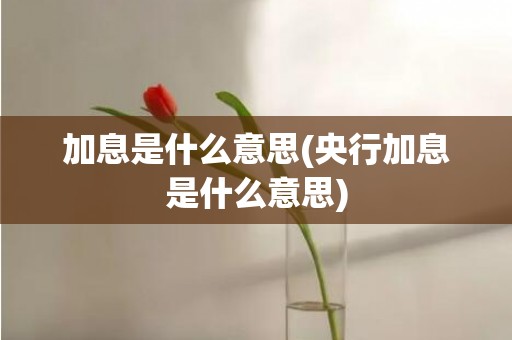 加息是什么意思(央行加息是什么意思)