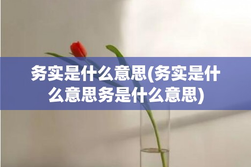 务实是什么意思(务实是什么意思务是什么意思)