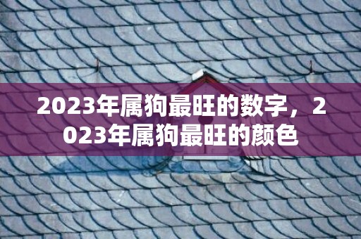 2023年属狗最旺的数字，2023年属狗最旺的颜色