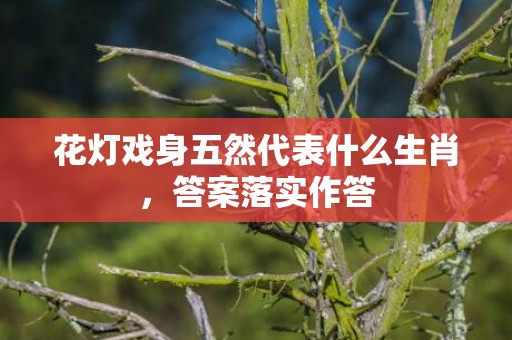 花灯戏身五然代表什么生肖，答案落实作答
