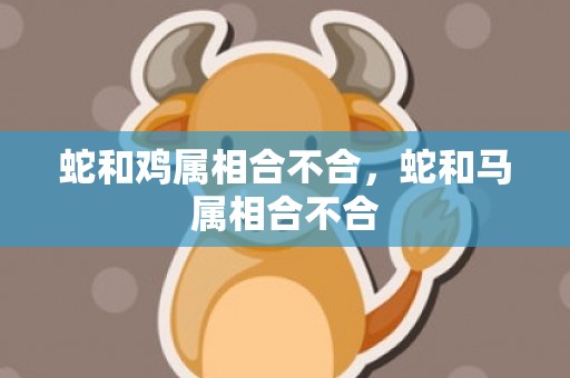 蛇和鸡属相合不合，蛇和马属相合不合