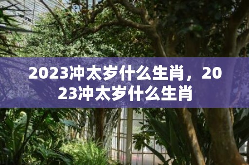 2023冲太岁什么生肖，2023冲太岁什么生肖