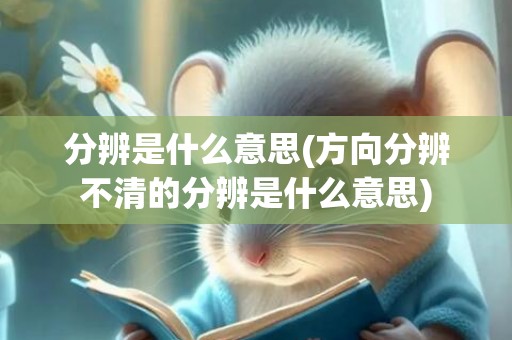 分辨是什么意思(方向分辨不清的分辨是什么意思)