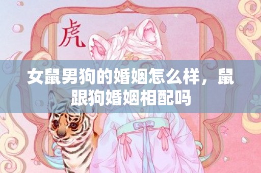 女鼠男狗的婚姻怎么样，鼠跟狗婚姻相配吗