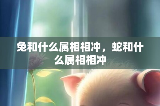 兔和什么属相相冲，蛇和什么属相相冲
