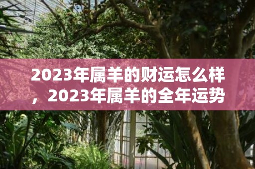 2023年属羊的财运怎么样，2023年属羊的全年运势