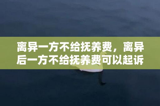 离异一方不给抚养费，离异后一方不给抚养费可以起诉有用吗