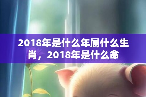 2018年是什么年属什么生肖，2018年是什么命