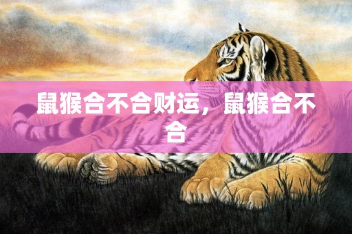 鼠猴合不合财运，鼠猴合不合