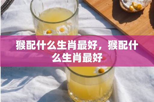 猴配什么生肖最好，猴配什么生肖最好
