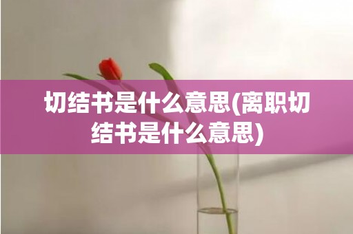 切结书是什么意思(离职切结书是什么意思)
