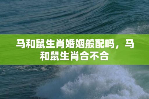 马和鼠生肖婚姻般配吗，马和鼠生肖合不合