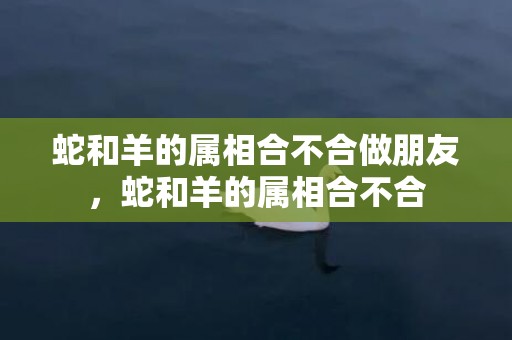蛇和羊的属相合不合做朋友，蛇和羊的属相合不合