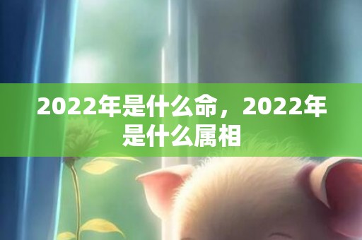 2022年是什么命，2022年是什么属相