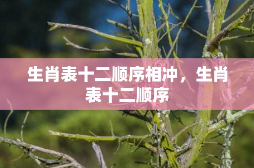 生肖表十二顺序相冲，生肖表十二顺序