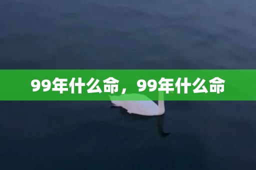 99年什么命，99年什么命